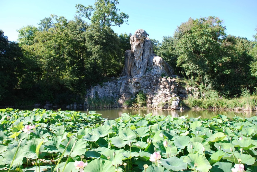 art.1305 bacheca pratomagno per parchi e giardini da Marinelli